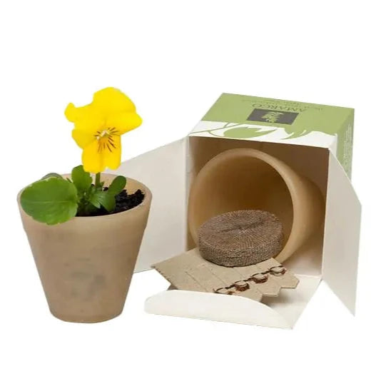 Biopot Seed Kit